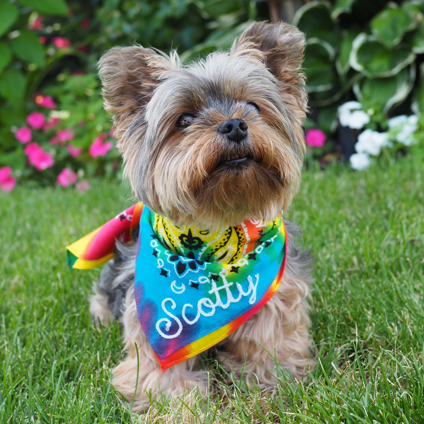 Custom Bandana