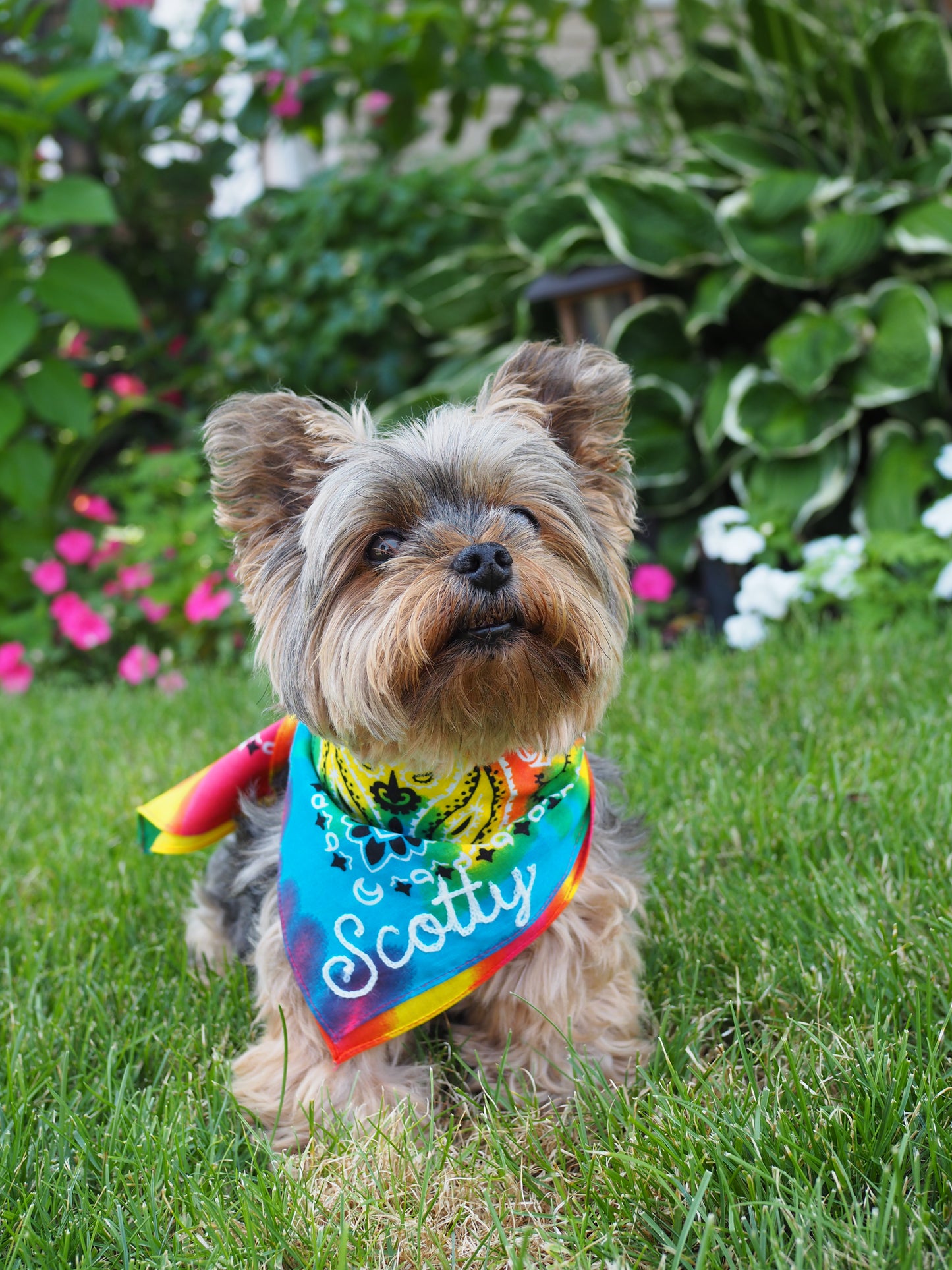 Custom Bandana
